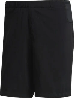 Korte Broeken Adidas Terrex Trail Short